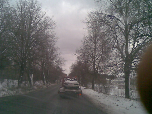 20100303(001).jpg