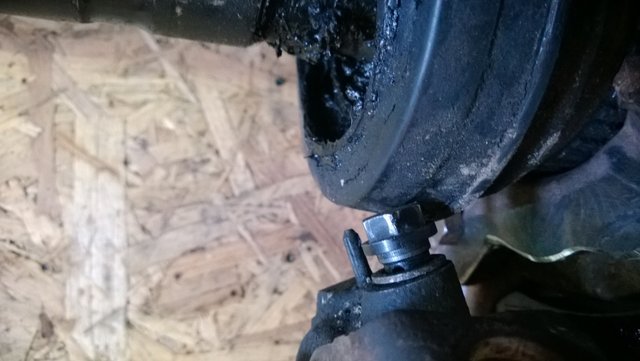 WP_20130901_003.jpg
